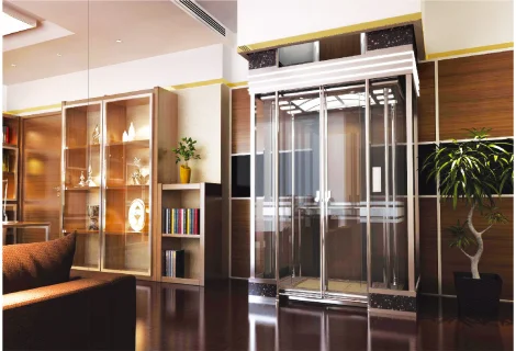 Villa Elevator
